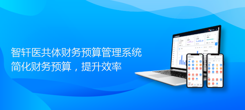 医共体财务预算管理系统